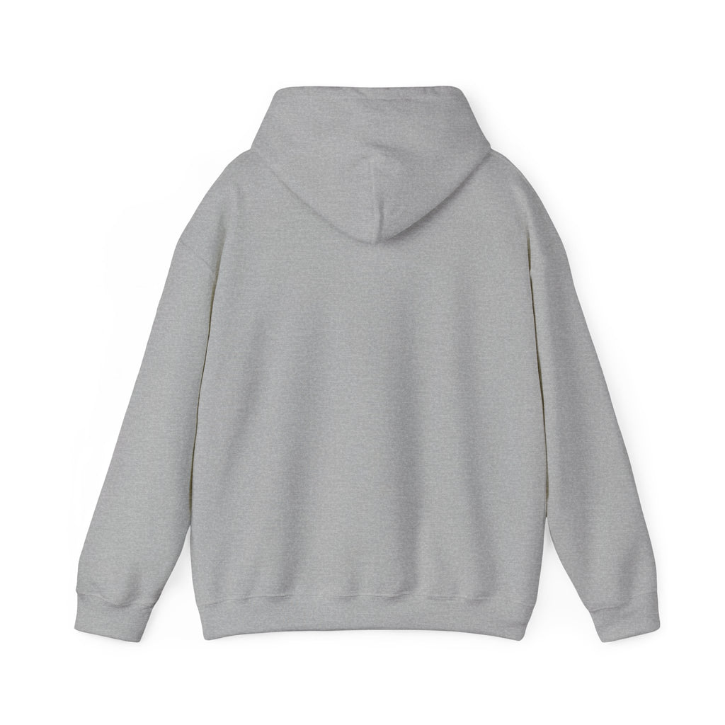 Mistakes Were Made Hoodie | feral chaotic humor, millennial burnout