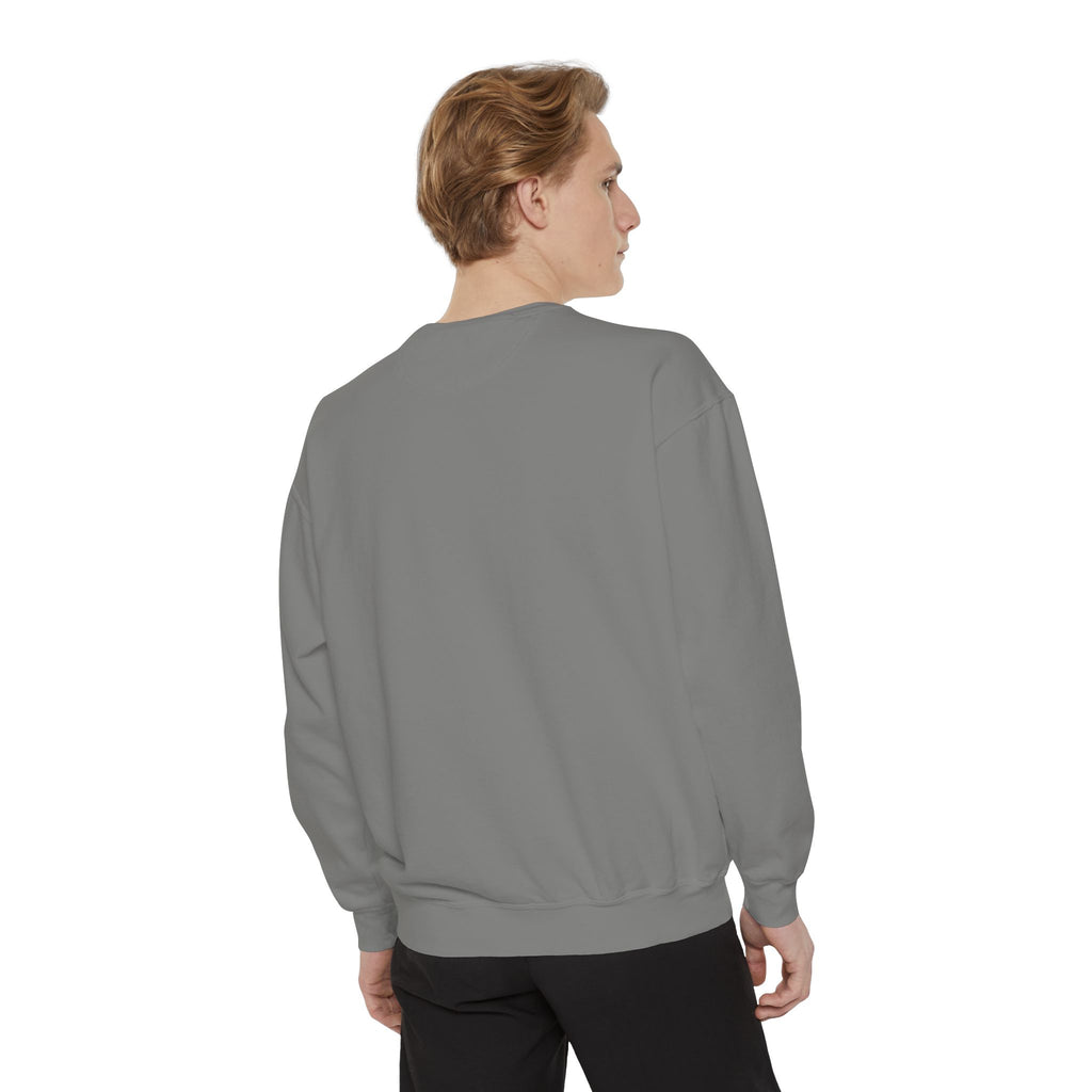Off to Visit the Wizard Sweatshirt | Burnout Society Crewneck | Funny Skeleton Sweatshirt