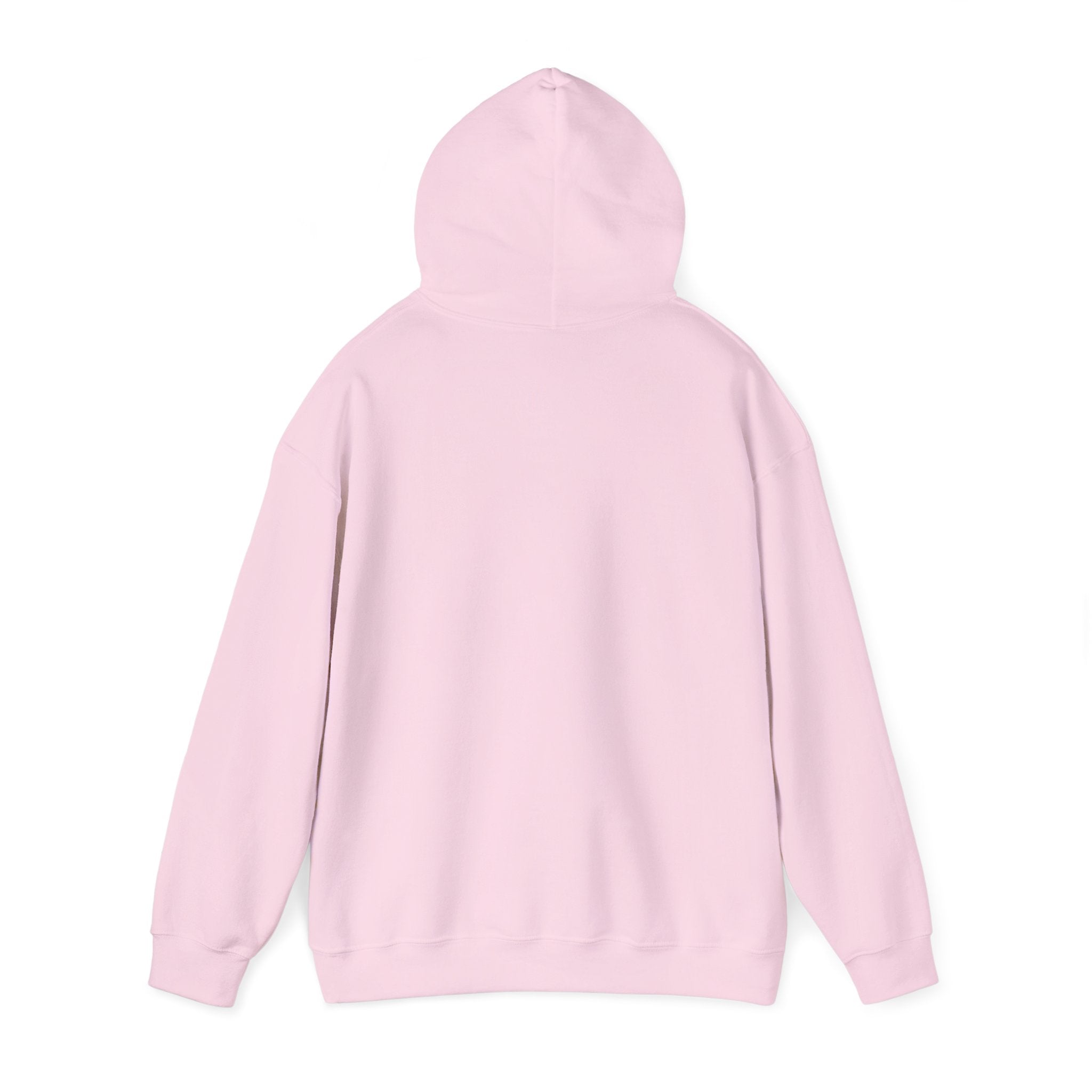 Mistakes Were Made Hoodie | feral chaotic humor, millennial burnout