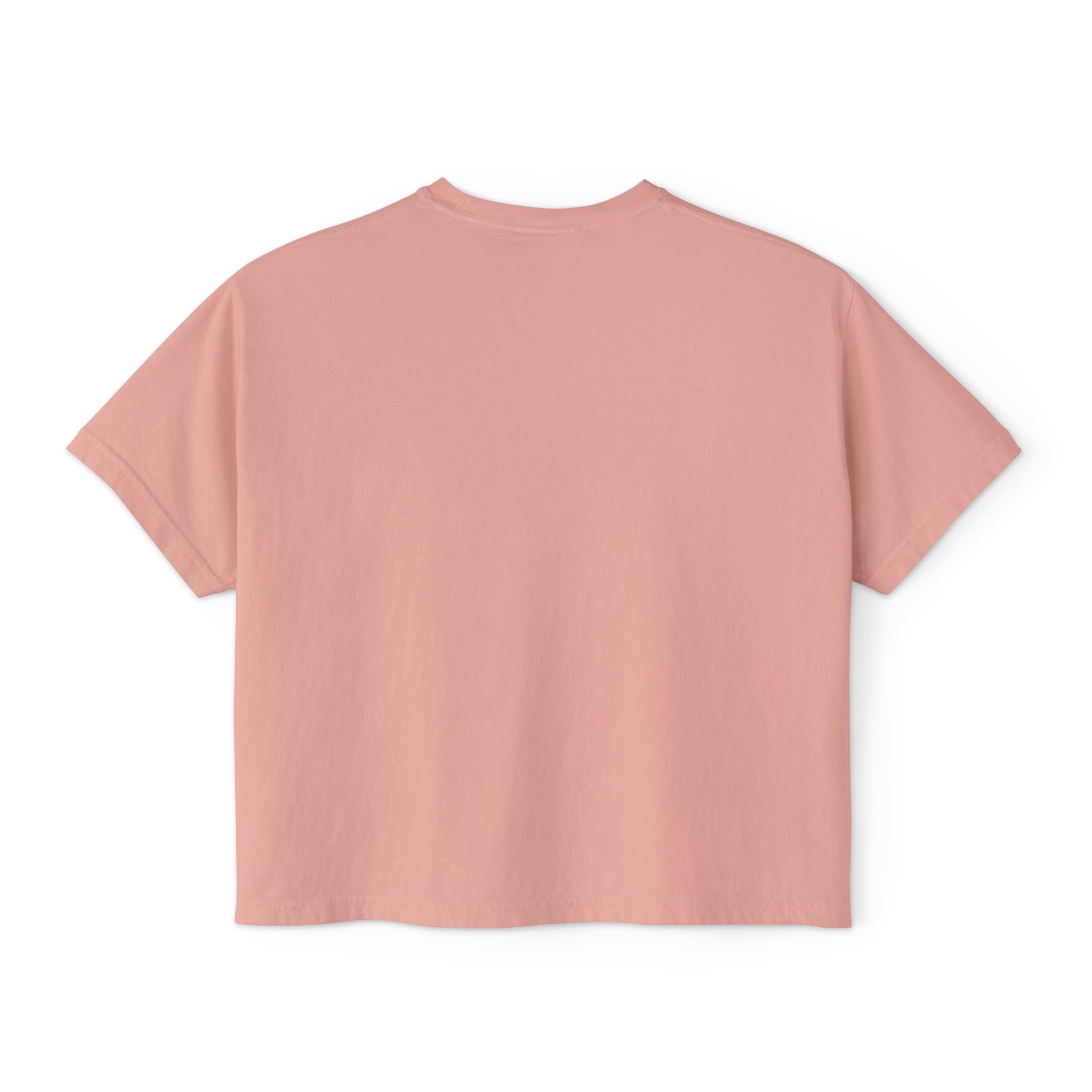 Beauty in the Burnout Women's Boxy Tee | Floral Graphic Shirt | BBSC Est. 2026