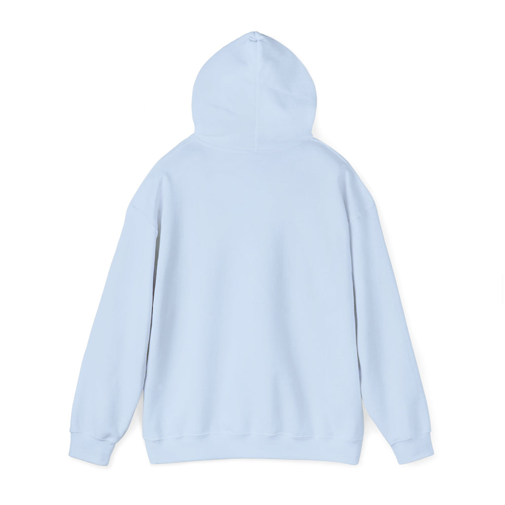 Mistakes Were Made Hoodie | feral chaotic humor, millennial burnout