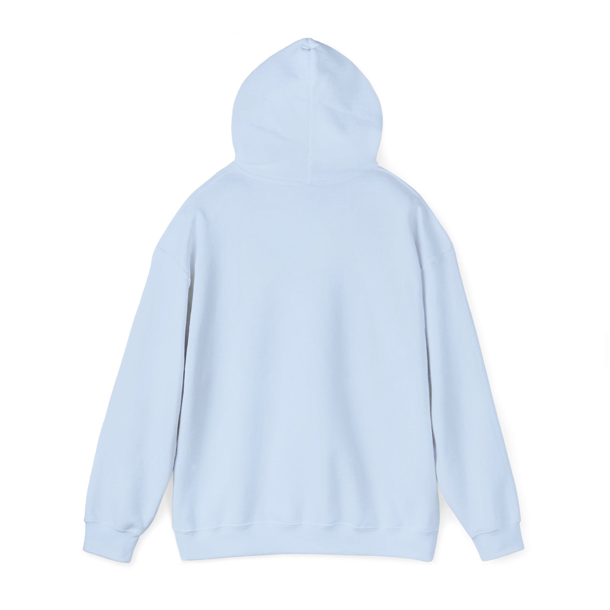 Mistakes Were Made Hoodie | feral chaotic humor, millennial burnout