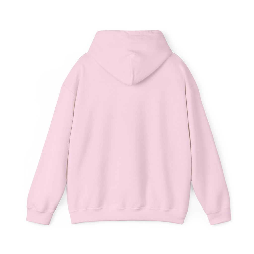Mistakes Were Made Hoodie | feral chaotic humor, millennial burnout