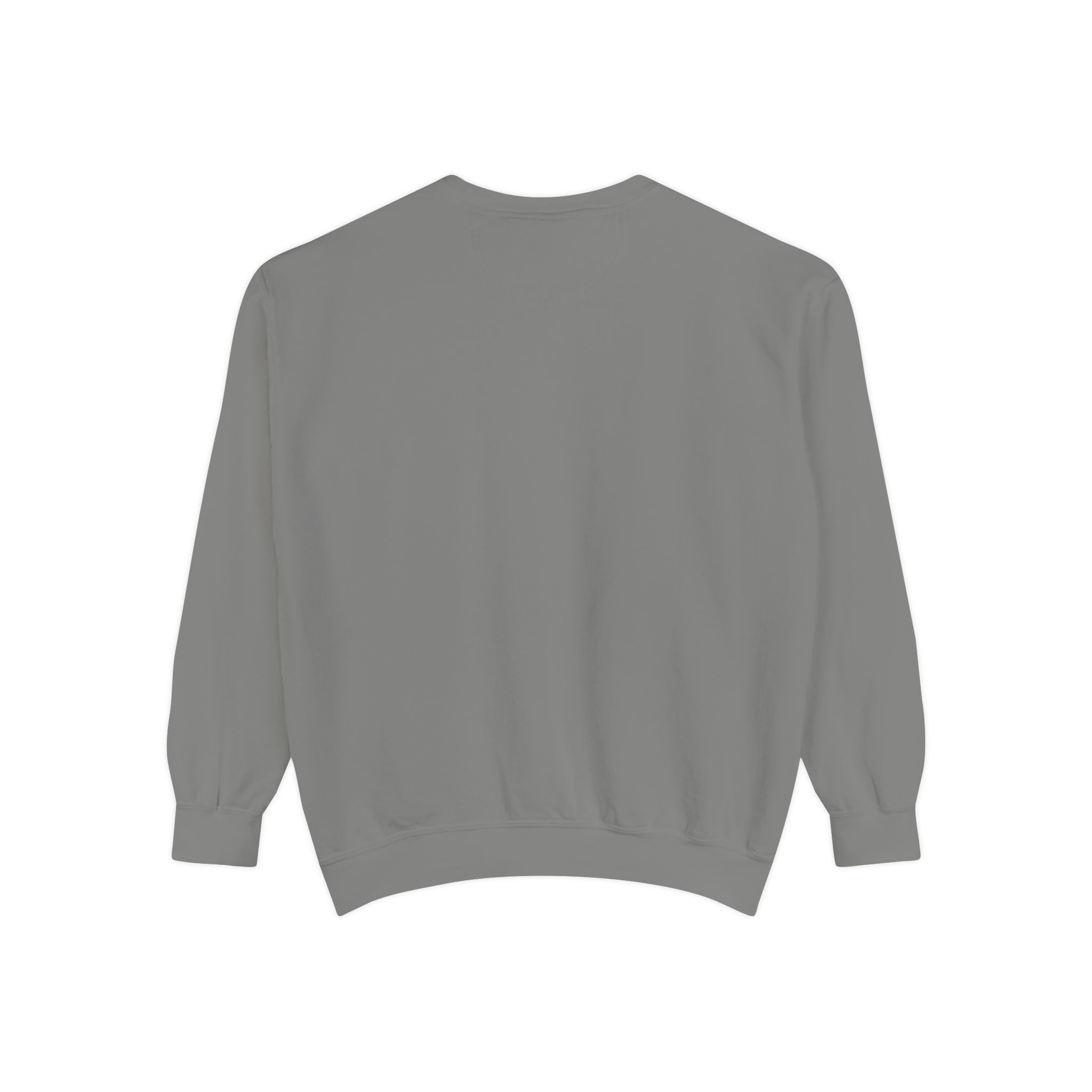 Off to Visit the Wizard Sweatshirt | Burnout Society Crewneck | Funny Skeleton Sweatshirt