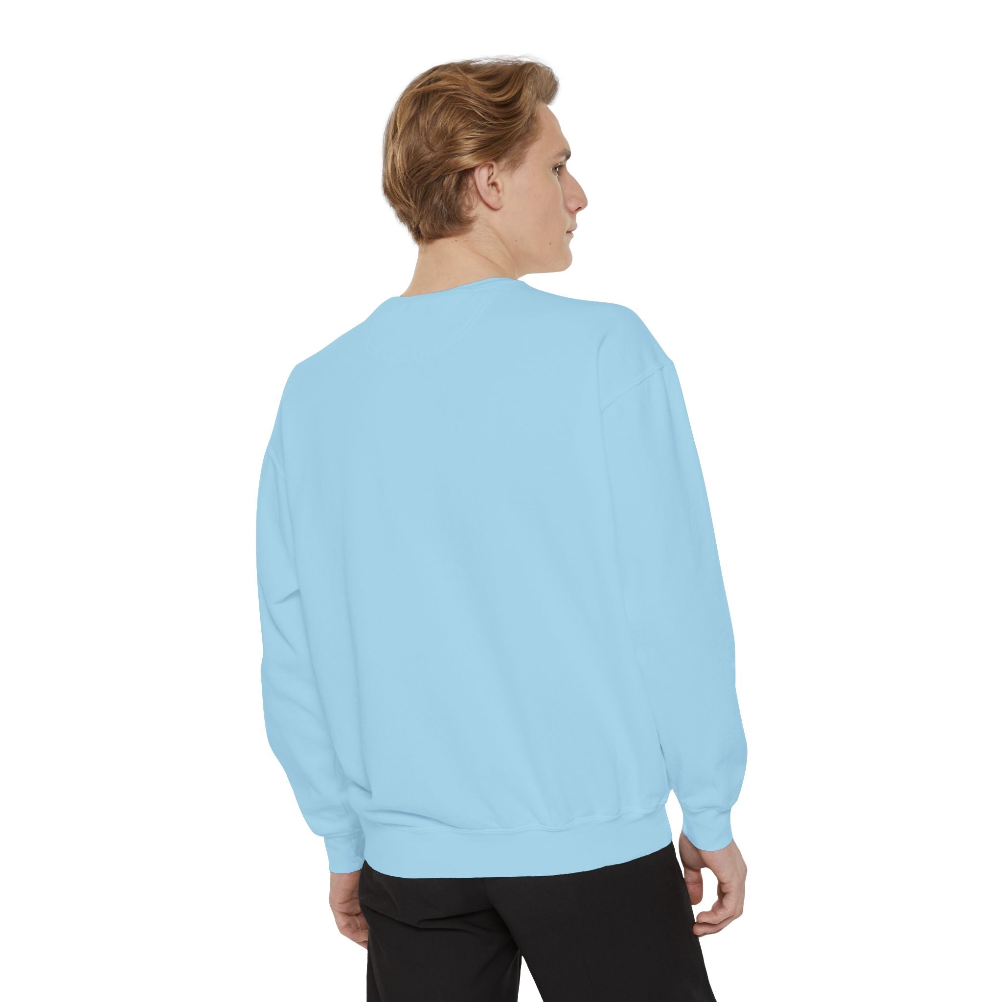 Off to Visit the Wizard Sweatshirt | Burnout Society Crewneck | Funny Skeleton Sweatshirt