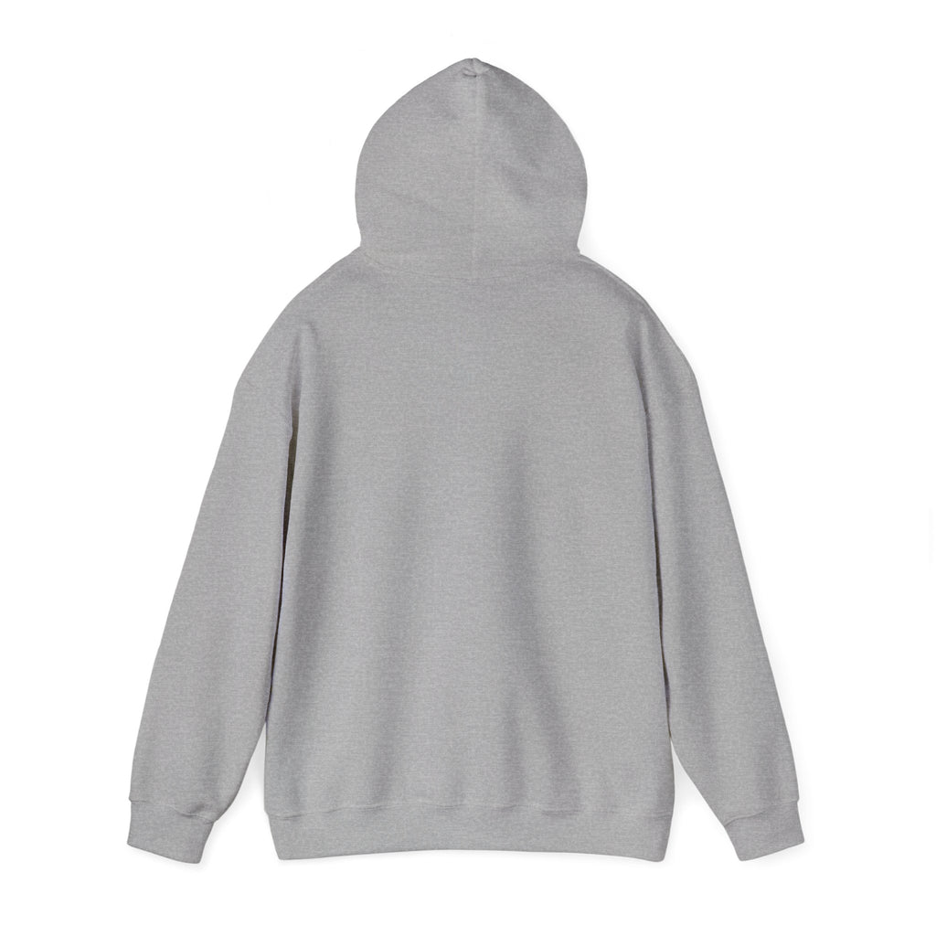Mistakes Were Made Hoodie | feral chaotic humor, millennial burnout