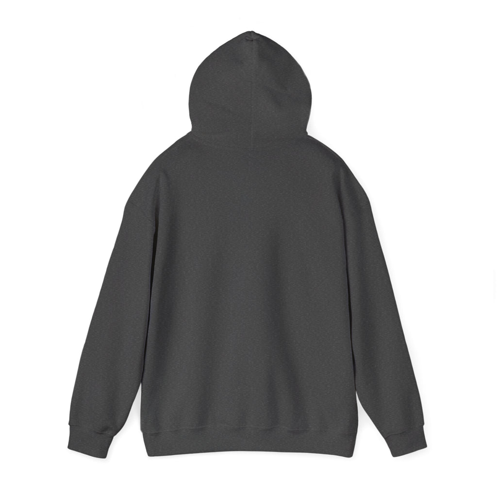 Mistakes Were Made Hoodie | feral chaotic humor, millennial burnout