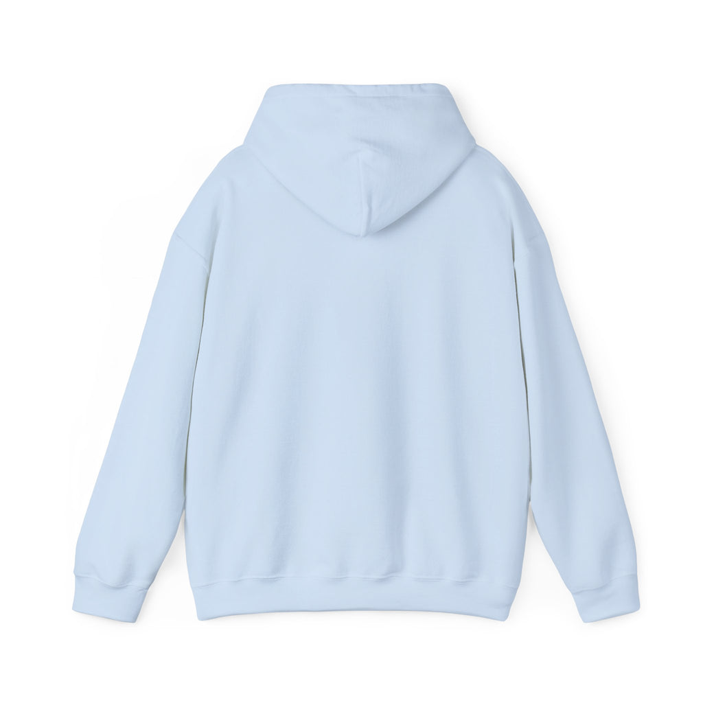Mistakes Were Made Hoodie | feral chaotic humor, millennial burnout