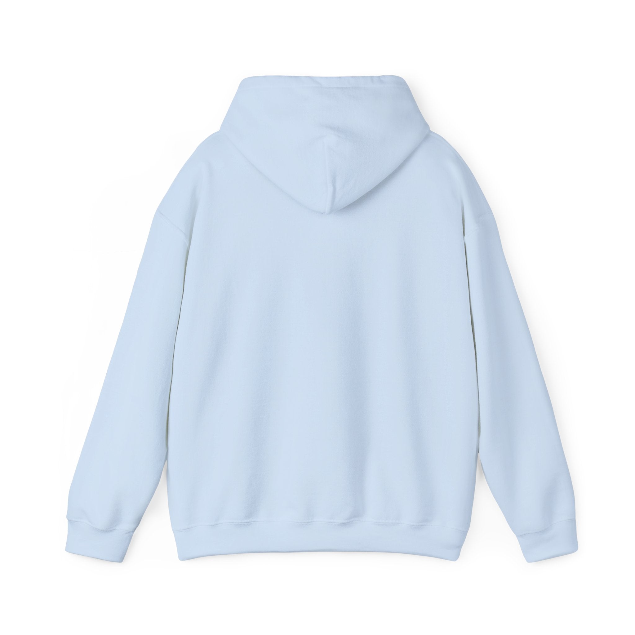 Mistakes Were Made Hoodie | feral chaotic humor, millennial burnout