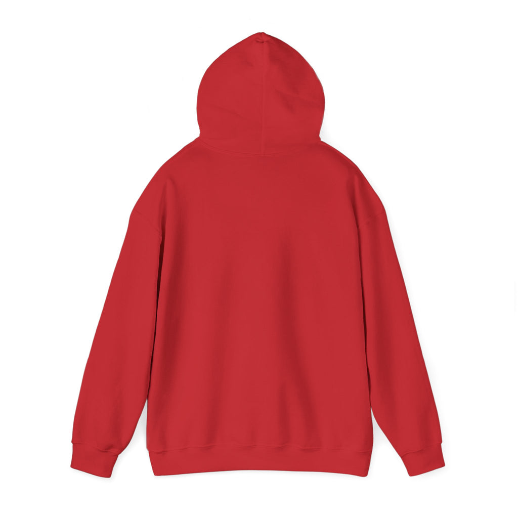 Mistakes Were Made Hoodie | feral chaotic humor, millennial burnout